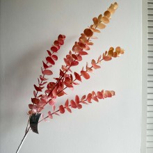 Ветка эвкалипта, 80 см, пудровый, шт.