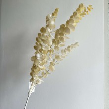 Ветка эвкалипта, 80 см, молочный, шт.