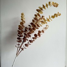 Ветка эвкалипта, 80 см, кремово-бордовый, шт.