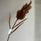 Ветка камыша, 85 см, капучино, шт.