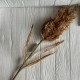 Ветка камыша, 85 см, капучино, шт.