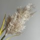 Ветка камыша, 85 см, молочная, шт.
