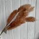 Ветка пушистая, 72 см, карамельная, шт.