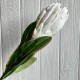 Протея большая, 8 см, белая, шт.
