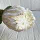 Протея большая, 8 см, белая, шт.