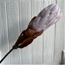 Протея большая, 8 см, нежно-розово-лиловая, шт.