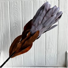 Протея большая, 8 см, лавандовая, шт.