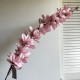 Магнолия (ветка), 129 см, розовая, шт.