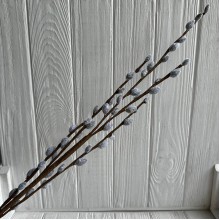 Верба, 77 см, серая, шт.