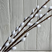 Верба, 77 см, белая, шт.