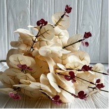 Эвкалипт с соцветием, 50 см, молочный, шт.