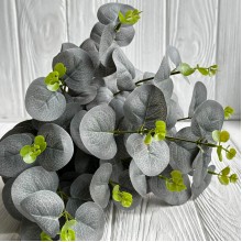 Эвкалипт с соцветием, 50 см, серый, шт.