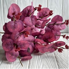 Эвкалипт с соцветием, 50 см, бордовый, шт.