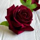 Бутон бархатной розы, 7 см, бордовый, упаковка 10 шт.