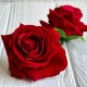 Бутон бархатной розы, 7 см, красный, упаковка 10 шт.