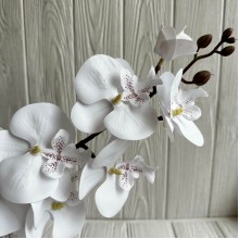 Ветка орхидеи, 110 см, белая, шт.