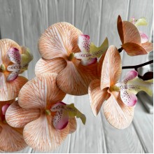 Ветка орхидеи, 110 см, персиковая, шт.