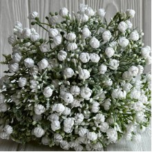 Букет озотамнуса, 30 см, белый, шт.
