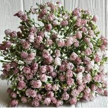 Букет озотамнуса, 30 см, пудровый, шт.