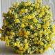 Букет озотамнуса, 30 см, жовтий, шт.