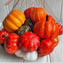 Осінній мікс (гарбузики), великий, упаковка 21 шт.