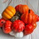 Осенний микс (тыквочки), большой, упаковка 21 шт.