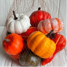 Осінній мікс (гарбузики), маленький, упаковка 17 шт.