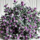 Букет пираканты, 30 см, сиреневый, шт.