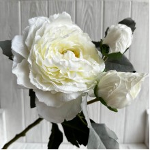 Пионовидная роза на ветке, 64 см, молочная, шт.