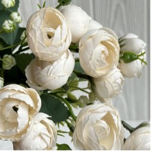 Букет ранункулюсов, 30 см, молочный, шт.