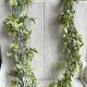 Звисаюча гілка рускуса, 180 см, салатовий, шт.