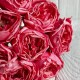 Букет кучерявой розы, 4х23 см, кораллово-малиновый, букет из 9 шт.