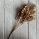 Ветка (С30403), 51 см, золото, шт.