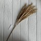 Ветка колосков (С30398), 67 см, золото, шт. Ветка колосков (С30398), 67 см, золото, шт.