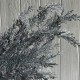 Гілка (С30401), 67 см, срібло, шт.