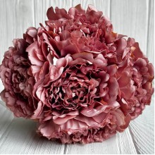 Букет древовидной пионии, 8х27 см, пудровый, букет 5 шт.