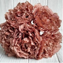 Букет древовидной пионии, 8х27 см, кофейный, букет 5 шт.