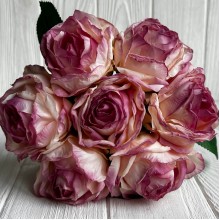 Букет бурбонской розы, 6х27 см, молочно-малиново-пудровый, букет з 7 шт.