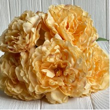 Букет травянистого пиона, 8,5х38 см, желтый, букет 5 шт.