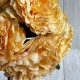 Букет травянистого пиона, 8,5х38 см, желтый, букет 5 шт.