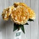 Букет травянистого пиона, 8,5х38 см, желтый, букет 5 шт.