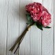 Букет травянистого пиона, 8,5х38 см, кораллово-пудровый, букет 5 шт.