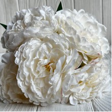 Букет травянистого пиона, 8,5х38 см, айвори, букет 5 шт.