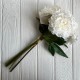 Букет травянистого пиона, 8,5х38 см, айвори, букет 5 шт. Букет травянистого пиона, 8,5х38 см, айвори, букет 5 шт.