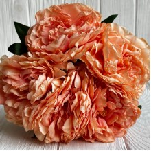 Букет травянистого пиона, 8,5х38 см, оранжевый, букет 5 шт.