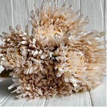 Букет хризантемы, 16х43 см, кремовый, букет з 5 шт.