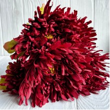 Букет хризантемы, 16х43 см, бордовый, букет з 5 шт.