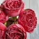 Букет пионовидной розы, 7х26 см, кораллловый, букет з 5 шт.