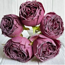 Букет пионовидной розы, 7х26 см, баклажановый, букет з 5 шт.