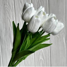 Букет тюльпанов, 34 см, белый, букет з 9 шт.